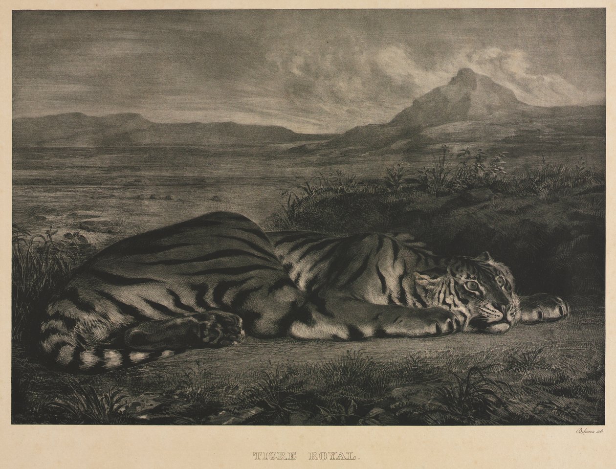 królewski tygrys autorstwa Eugène Delacroix