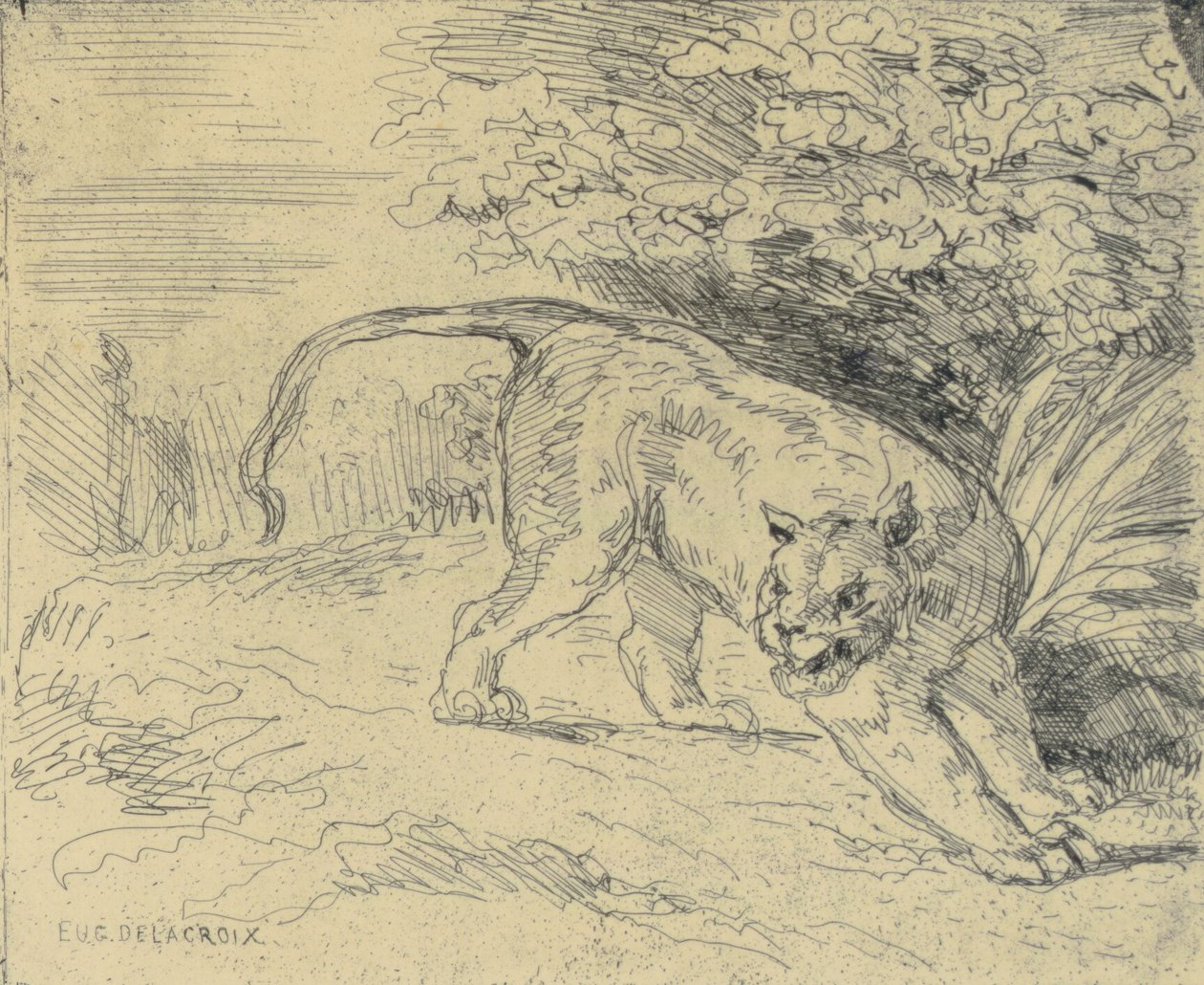 Tigre en Arrêt autorstwa Eugène Delacroix