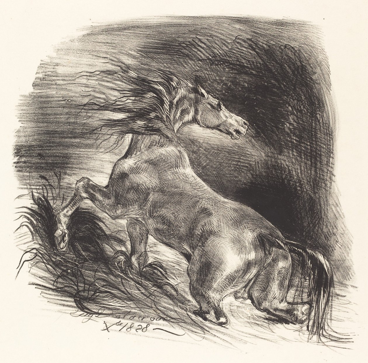 Dziki koń wychodzący z wody (cheval sauvage) autorstwa Eugène Delacroix