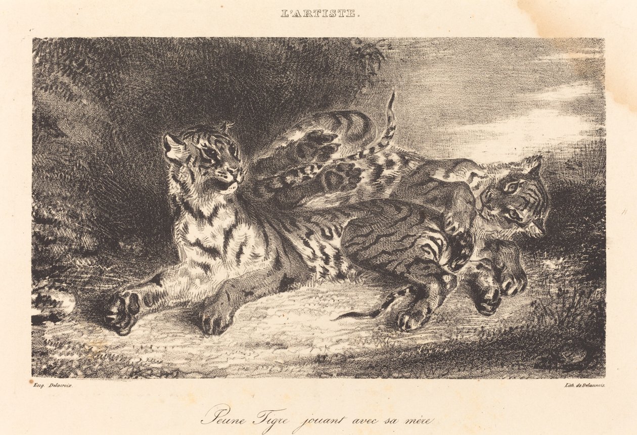 Młody tygrys bawi się z matką autorstwa Eugène Delacroix
