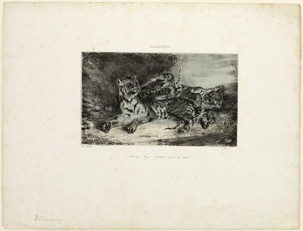 Młody tygrys bawi się z matką autorstwa Eugène Delacroix