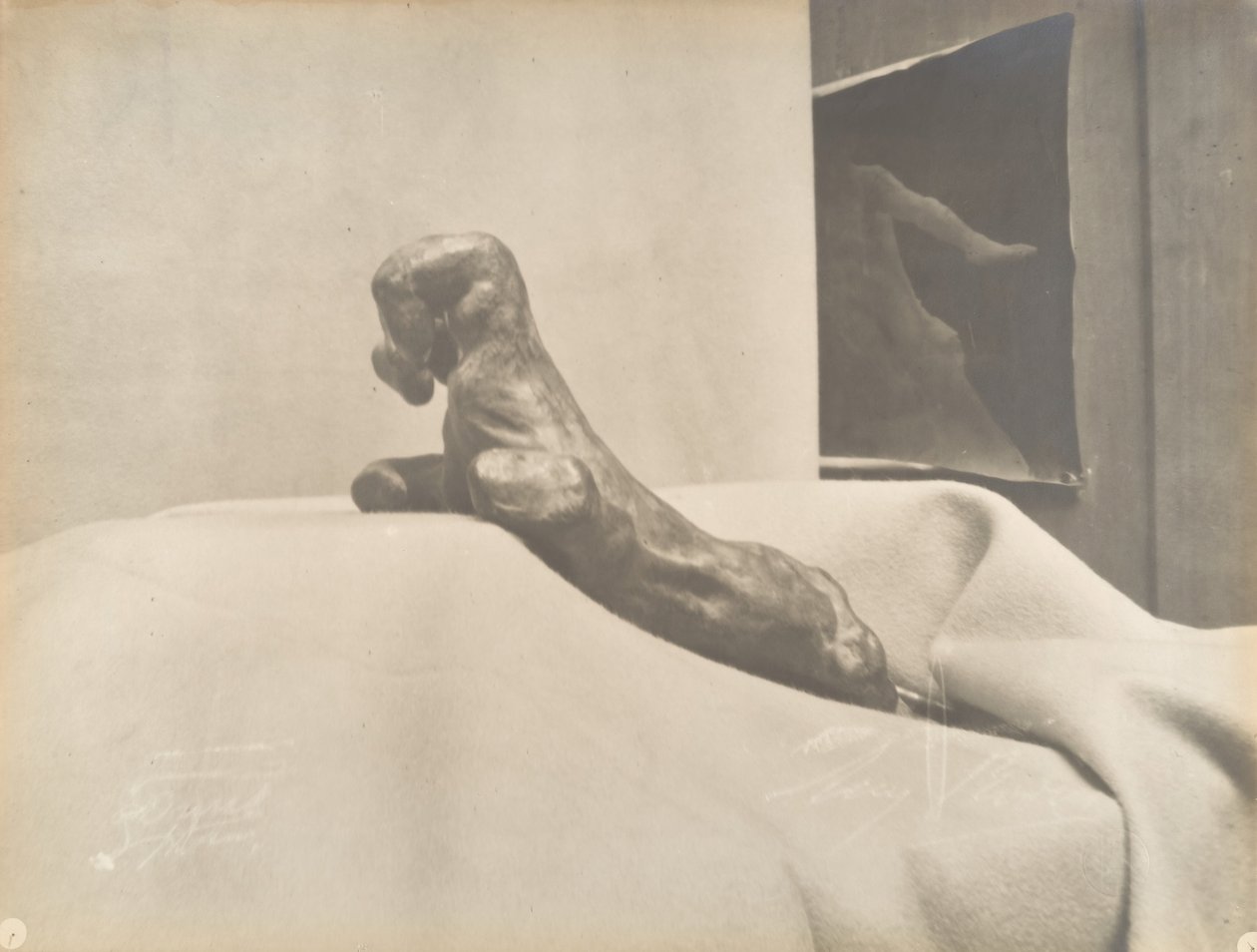 [Zaciśnięta dłoń Augusta Rodina], przed 1898 r. autorstwa Eugène Druet