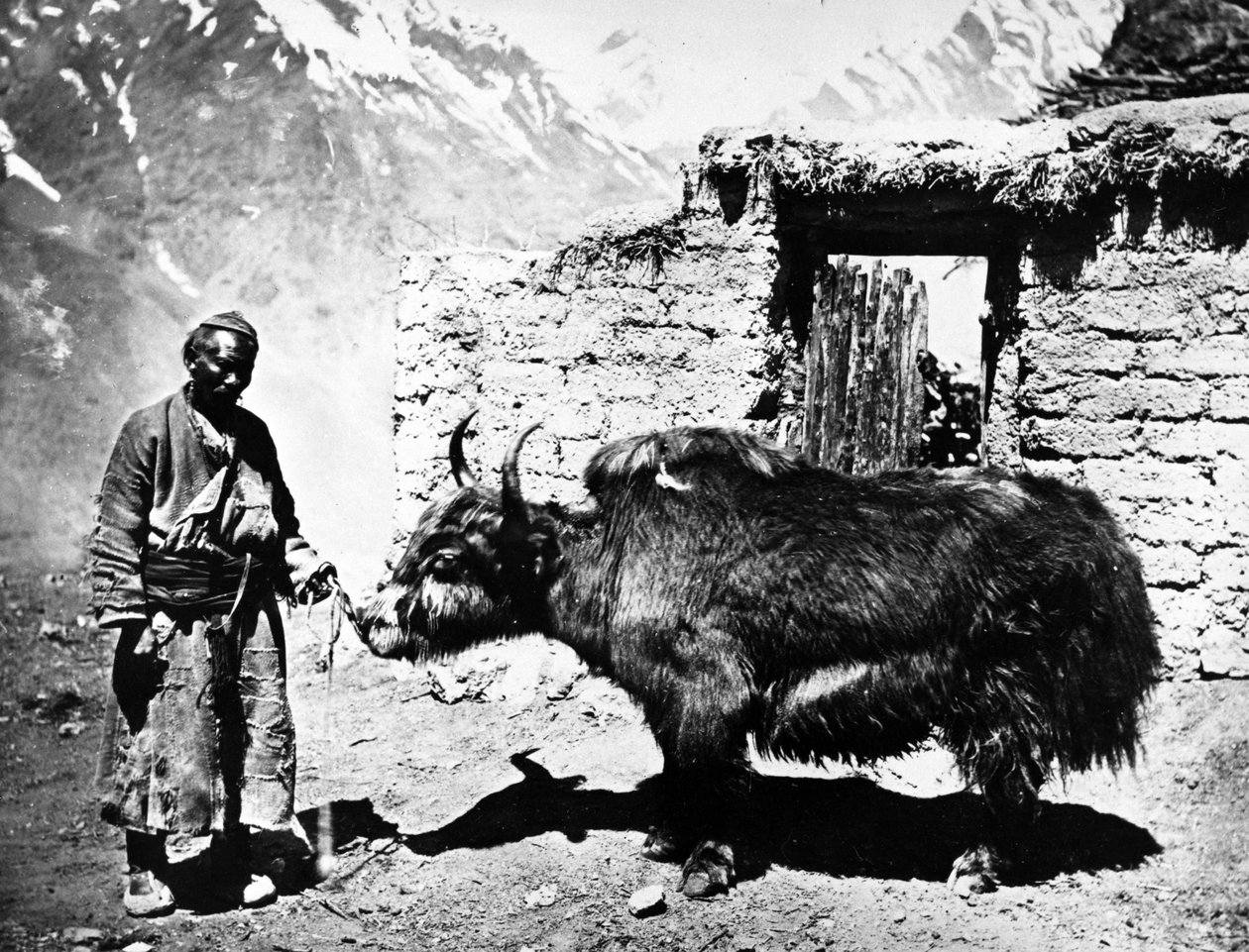 do pompowania jaka, s. 1860-80 autorstwa European Photographer
