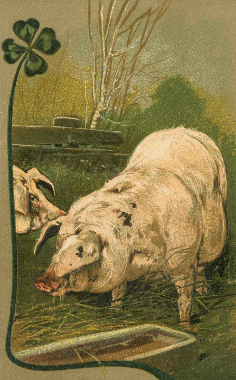 Świnia w koniczynie (kolorowa litografia) autorstwa European School