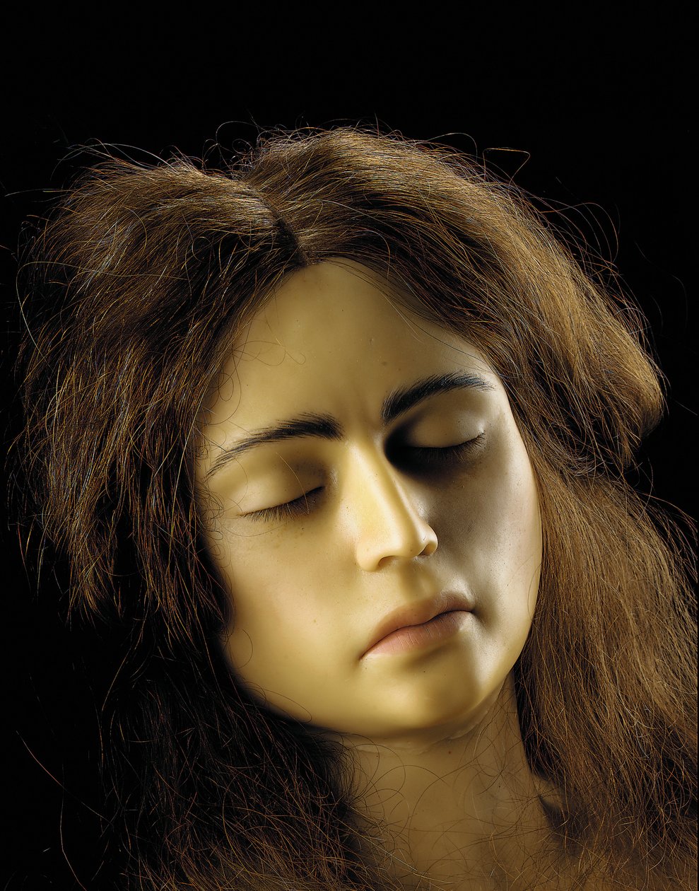Anatomiczny model ciąży jajnikowej, szczegół autorstwa European School