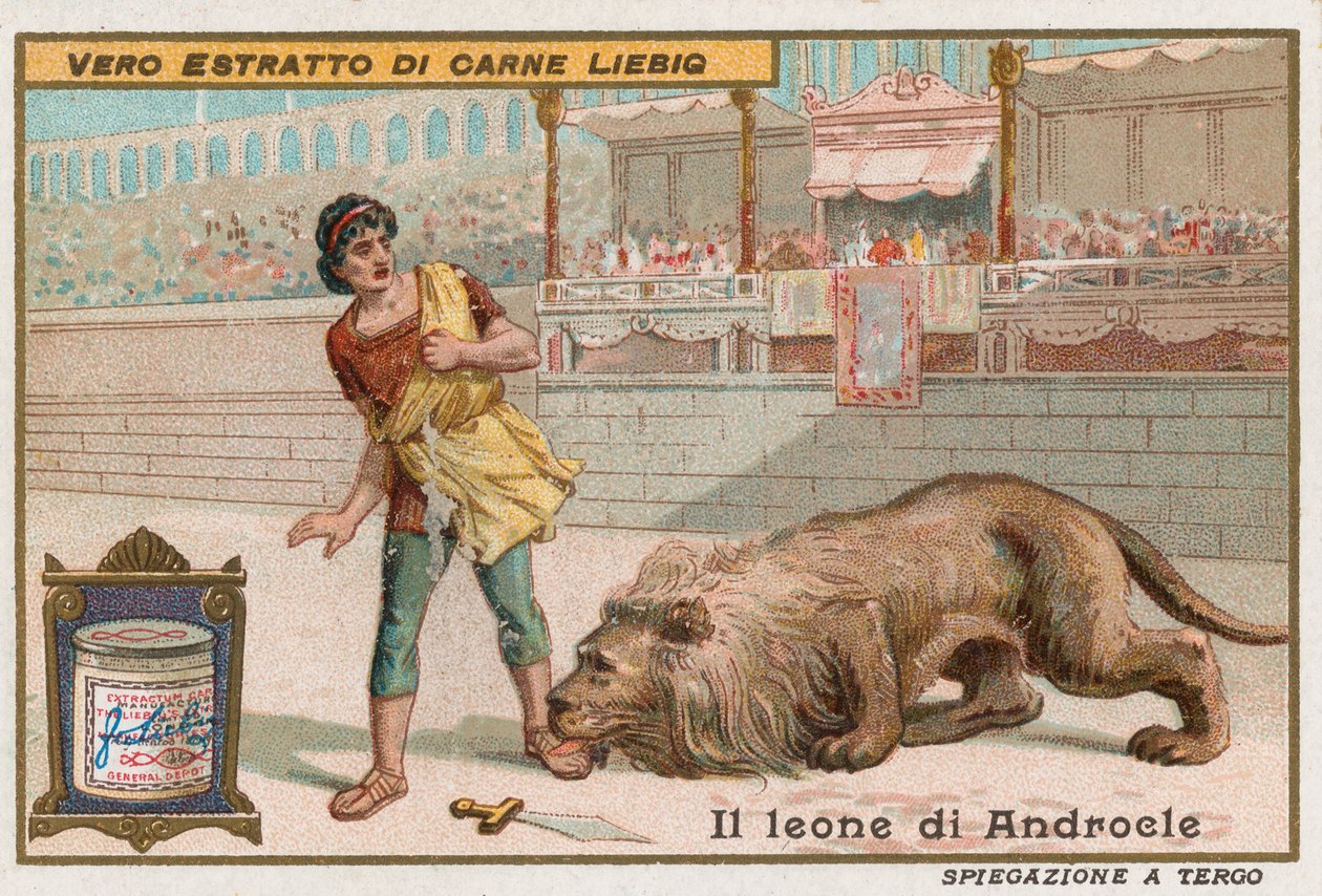 Androkles i lew autorstwa European School