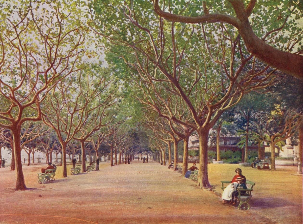 Cannes, Les Allees (druk kolorowy) autorstwa European School