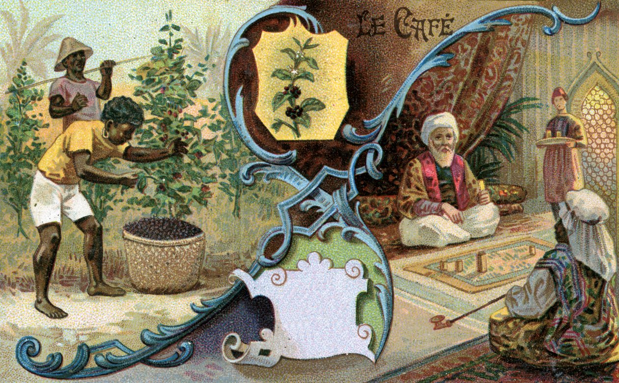 Kawa, 1899 autorstwa European School