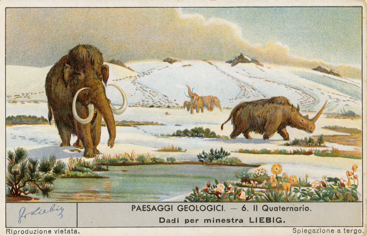 Prehistoryczny świat, karta Liebig, początek XX wieku (chromo) autorstwa European School