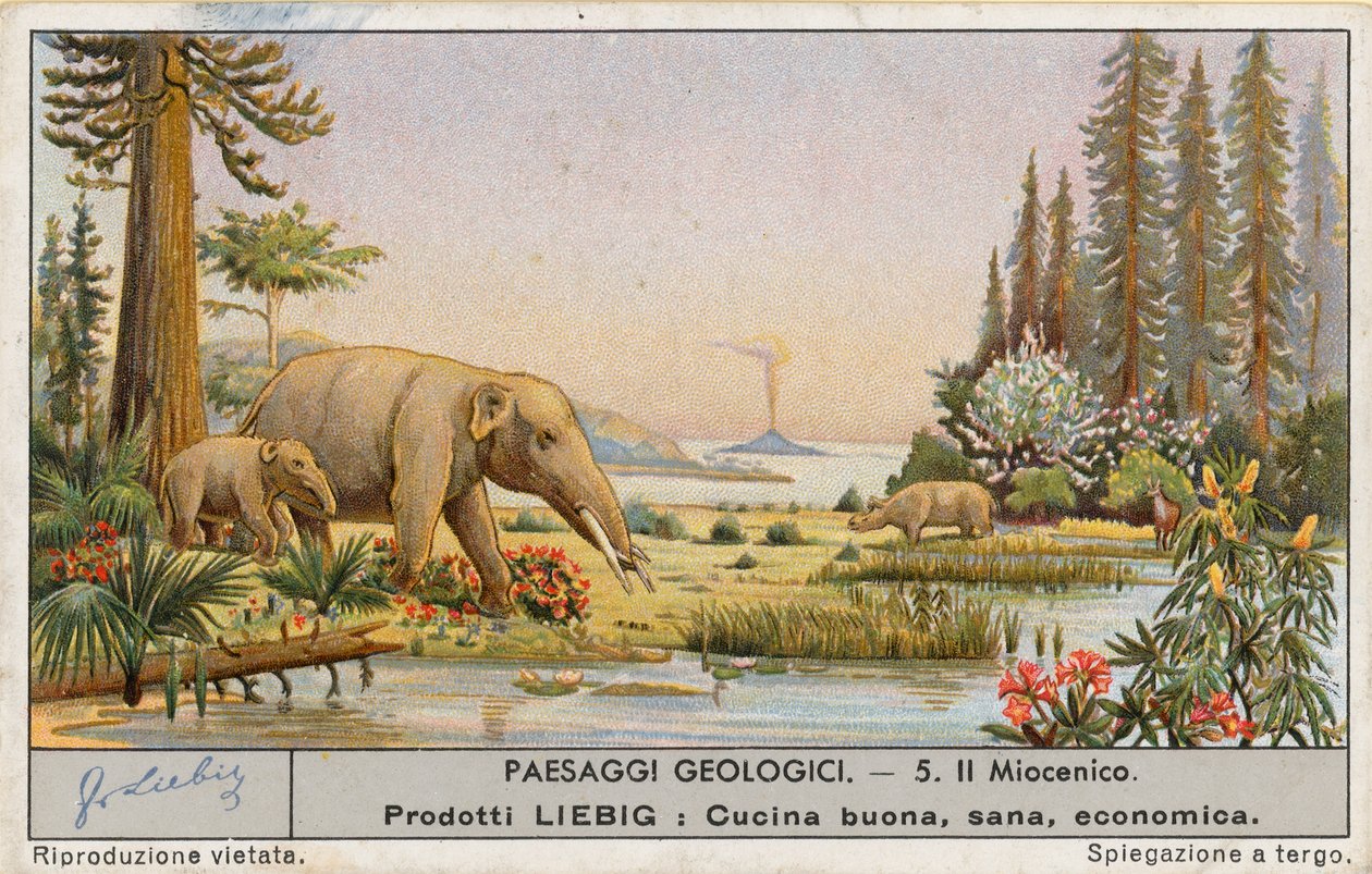 Prehistoryczny świat, karta Liebig, początek XX wieku (chromo) autorstwa European School