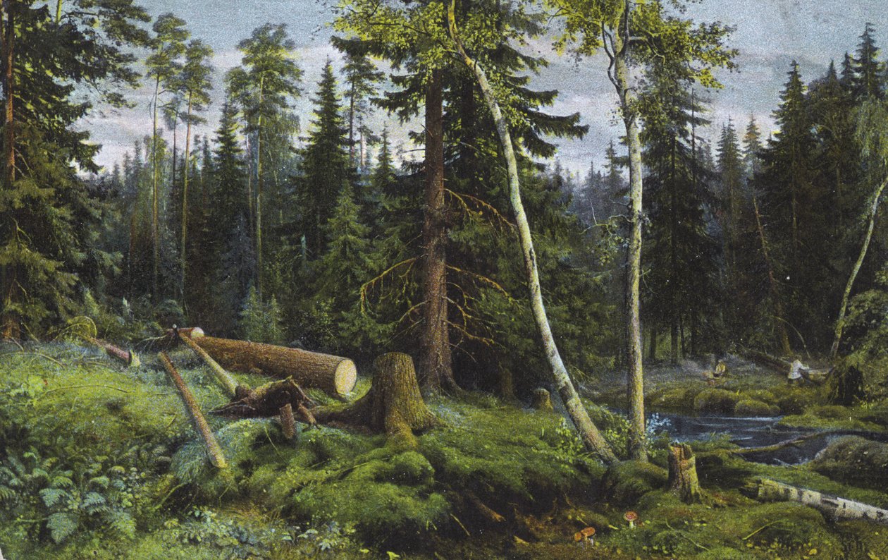 Scena w lesie ze ściętymi drzewami (kolorowa litografia) autorstwa European School