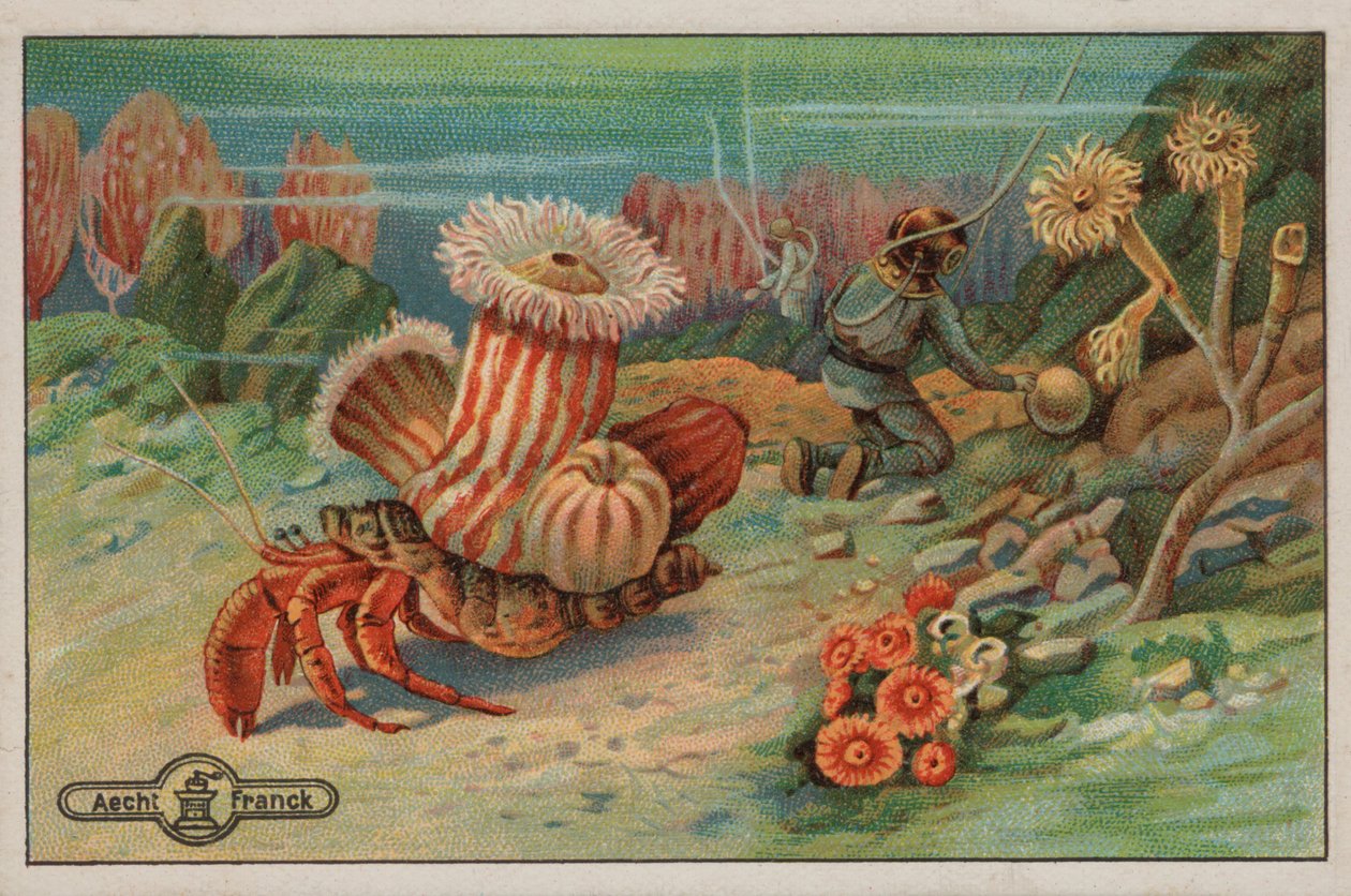 Scena na dnie morza (chromolit) autorstwa European School