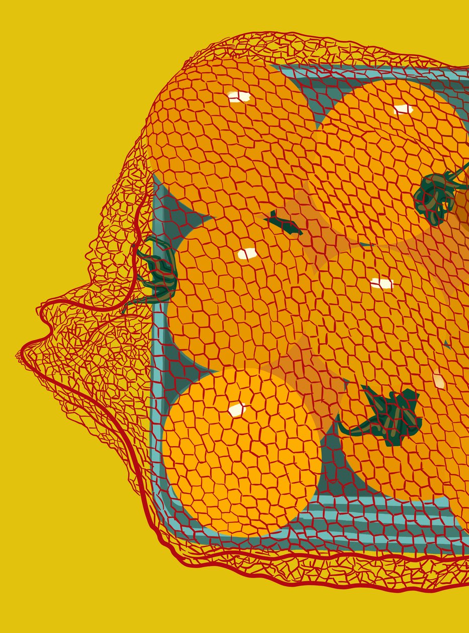 Pomidorki koktajlowe w pojemniku (grafika cyfrowa) autorstwa Evan Sklar