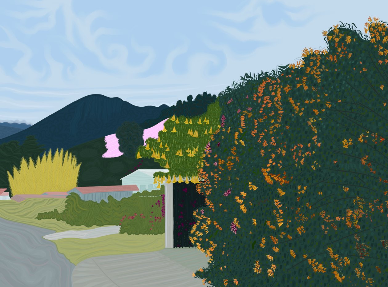 Chiriqui, Panama, ok. 2020-24 (grafika cyfrowa) autorstwa Evan Sklar