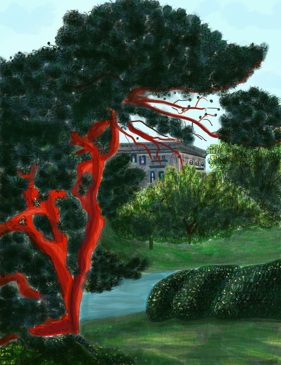Drzewo iglaste w willi Litchfield, Prospect Park (grafika cyfrowa) autorstwa Evan Sklar