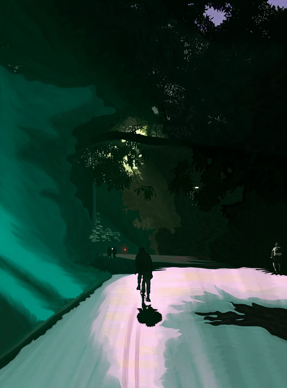 Rowerzysta w nocy, Prospect Park, Brooklyn, ok. 2020-24 (grafika cyfrowa) autorstwa Evan Sklar