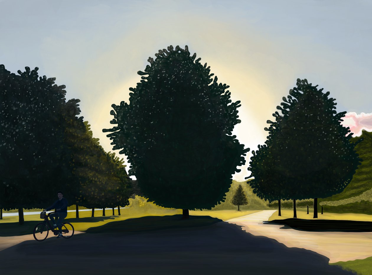 Rowerzysta, świt, Hyde Park (grafika cyfrowa) autorstwa Evan Sklar