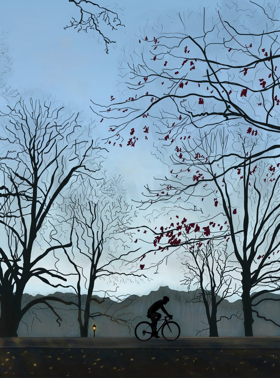 Rowerzysta, poranek, Prospect Park (grafika cyfrowa) autorstwa Evan Sklar