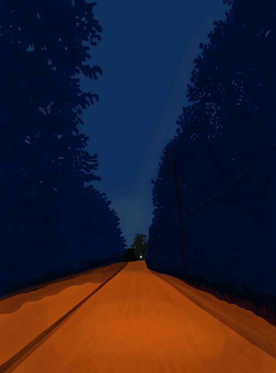 Dirt Road At Night, Brooklyn (grafika cyfrowa) autorstwa Evan Sklar
