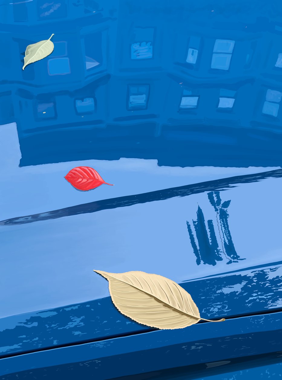 Opadłe liście na niebieskim samochodzie, Brooklyn (grafika cyfrowa) autorstwa Evan Sklar