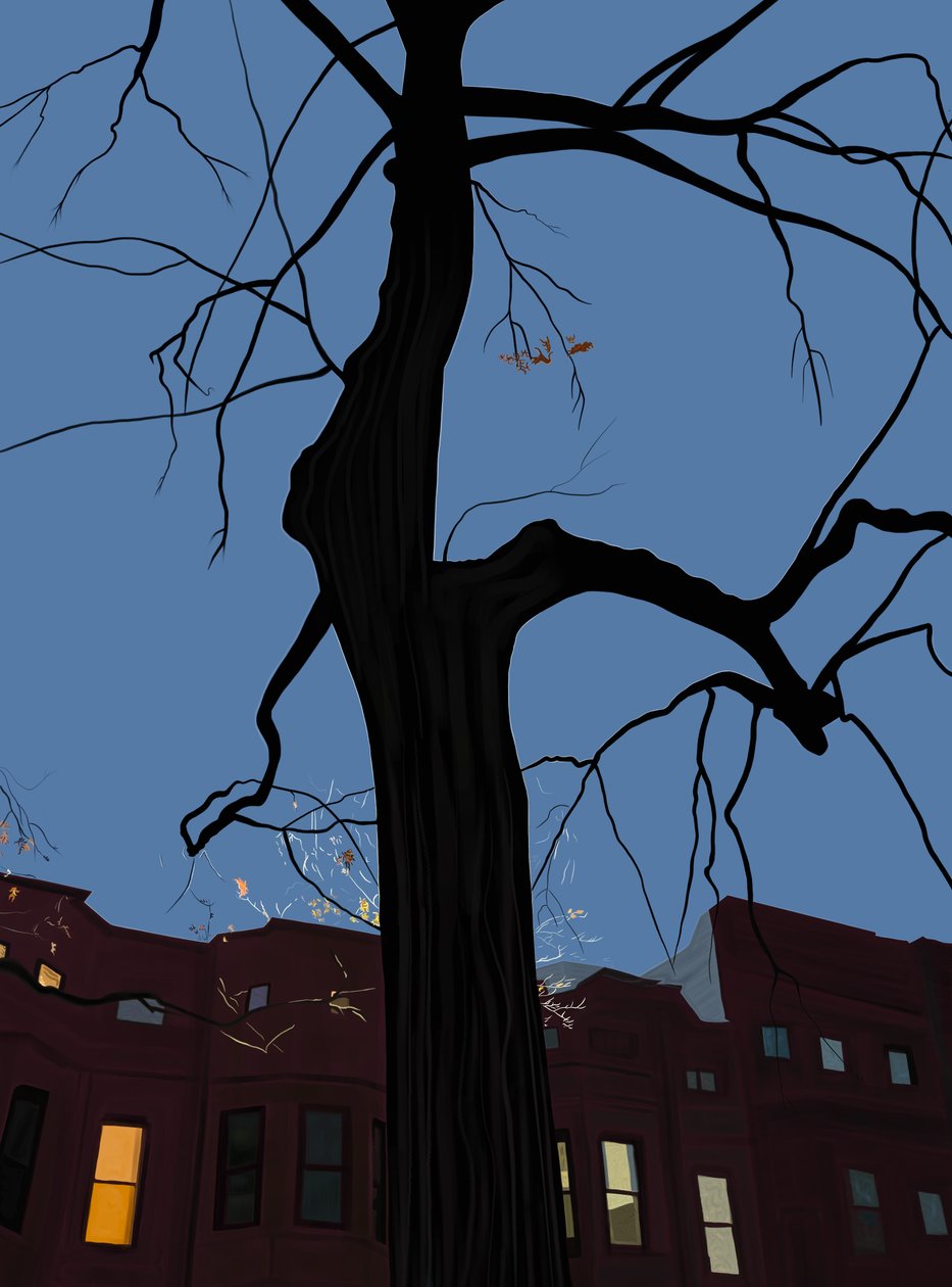 Domy i drzewa nocą, Brooklyn. (sztuka cyfrowa) autorstwa Evan Sklar