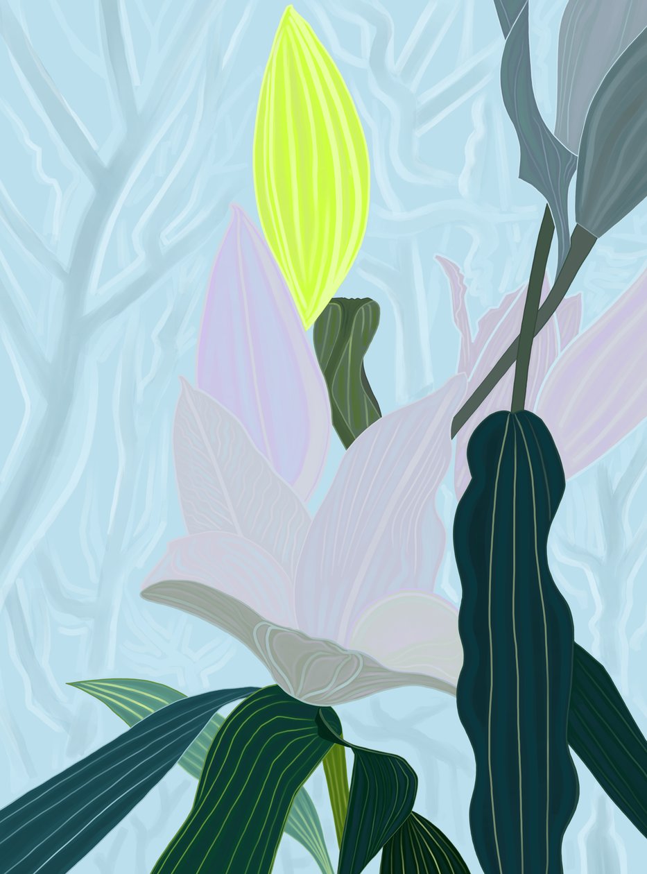 Lily (grafika cyfrowa) autorstwa Evan Sklar