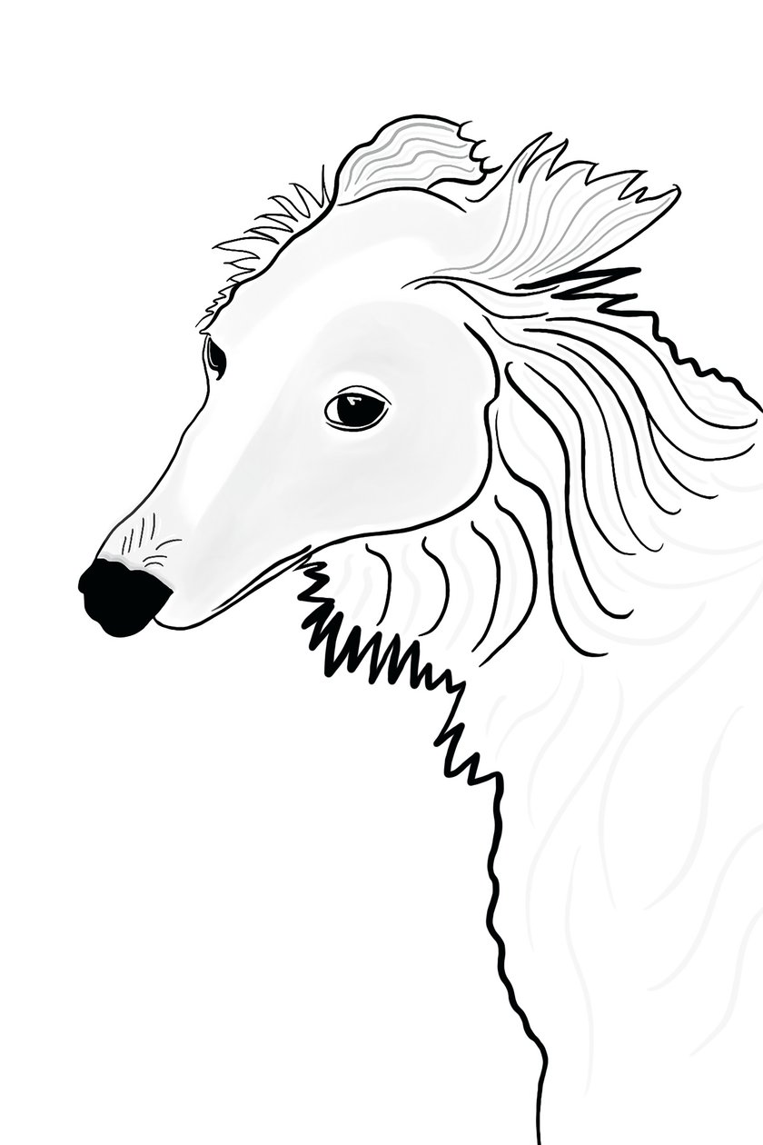 Rysunek liniowy Silken Windhound (grafika cyfrowa) autorstwa Evan Sklar