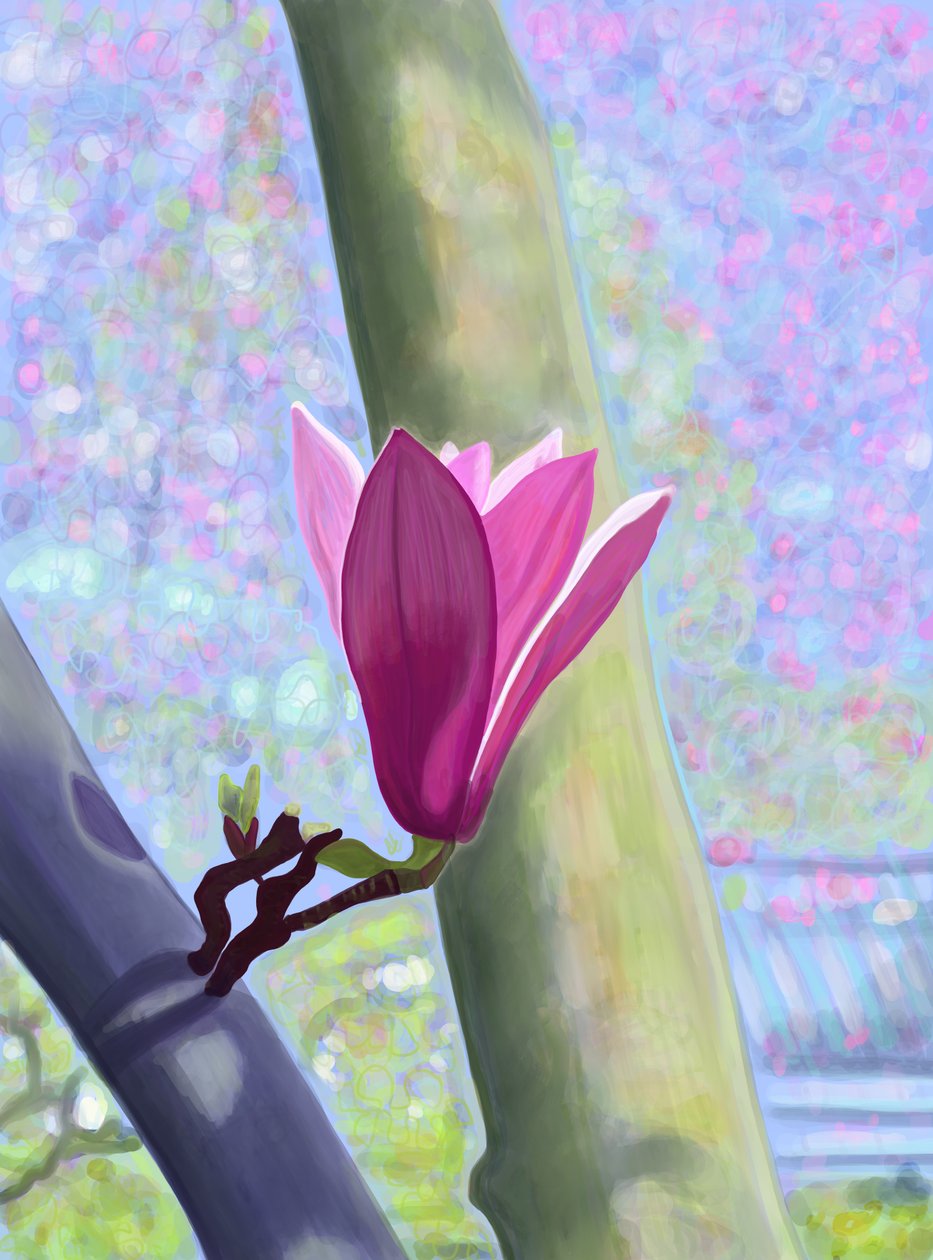 Kwiat magnolii (grafika cyfrowa) autorstwa Evan Sklar