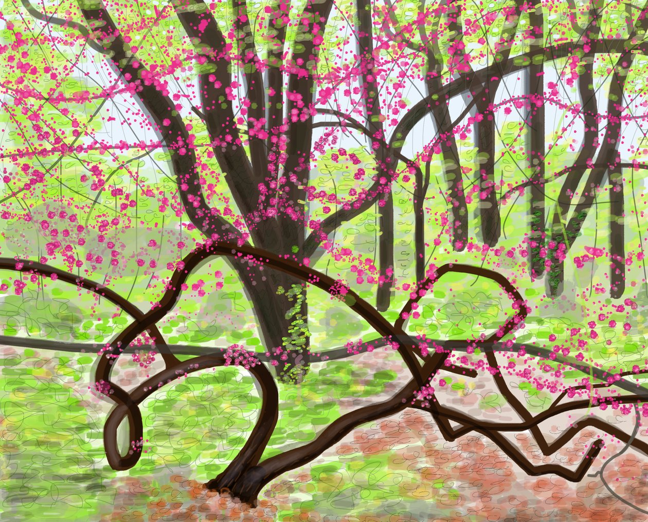 Prospect Park, wiosna, 2017 (narysowane ręcznie na iPadzie ołówkiem Apple) autorstwa Evan Sklar