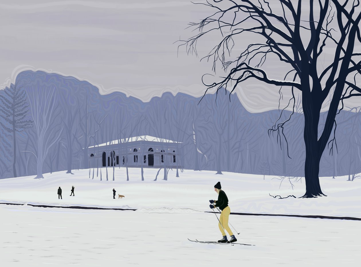 Narciarz, Prospect Park, Brooklyn (grafika cyfrowa) autorstwa Evan Sklar