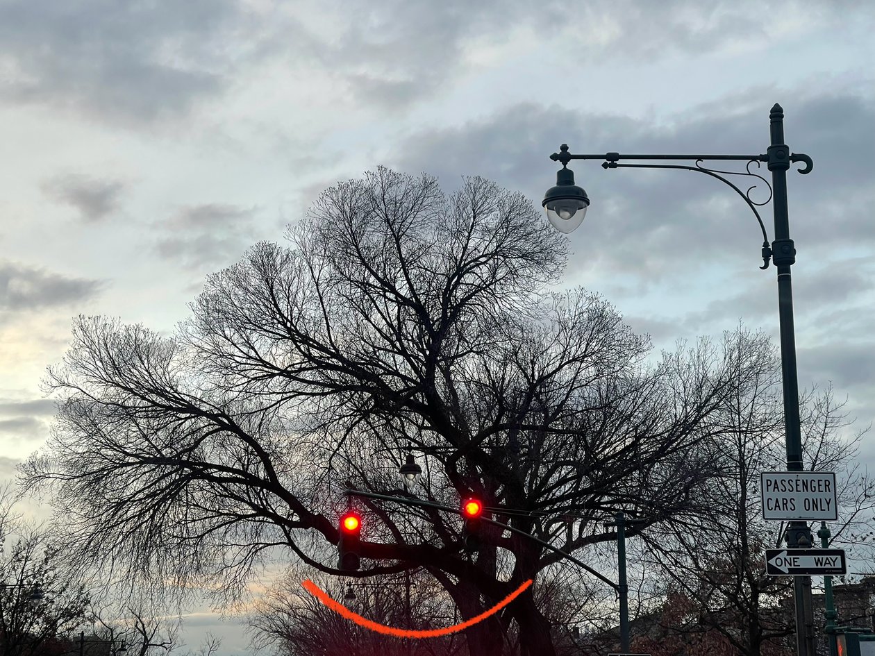 Uśmiechnięte drzewo i sygnalizacja świetlna. Brooklyn (grafika cyfrowa) autorstwa Evan Sklar