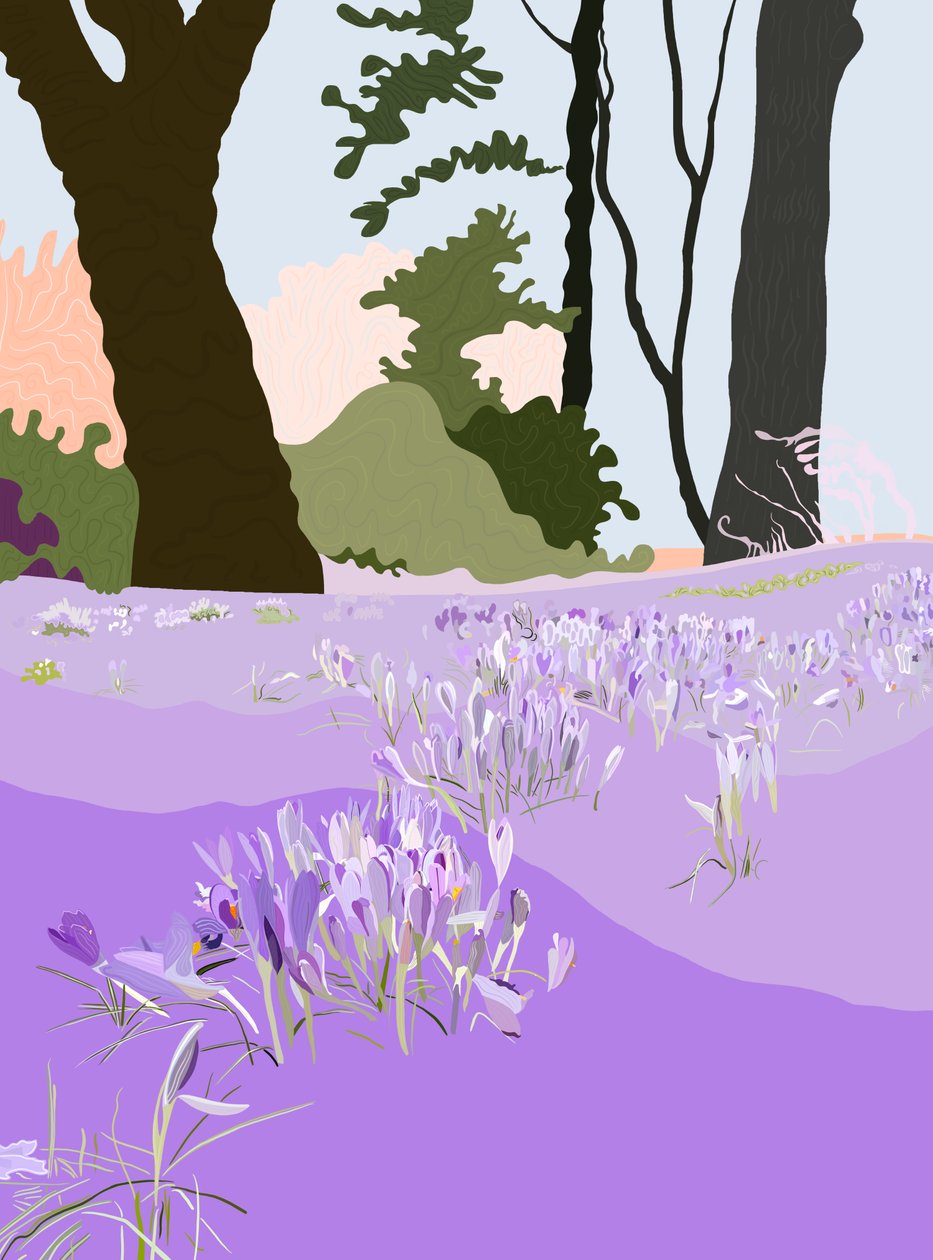 Wiosenny krokus (grafika cyfrowa) autorstwa Evan Sklar
