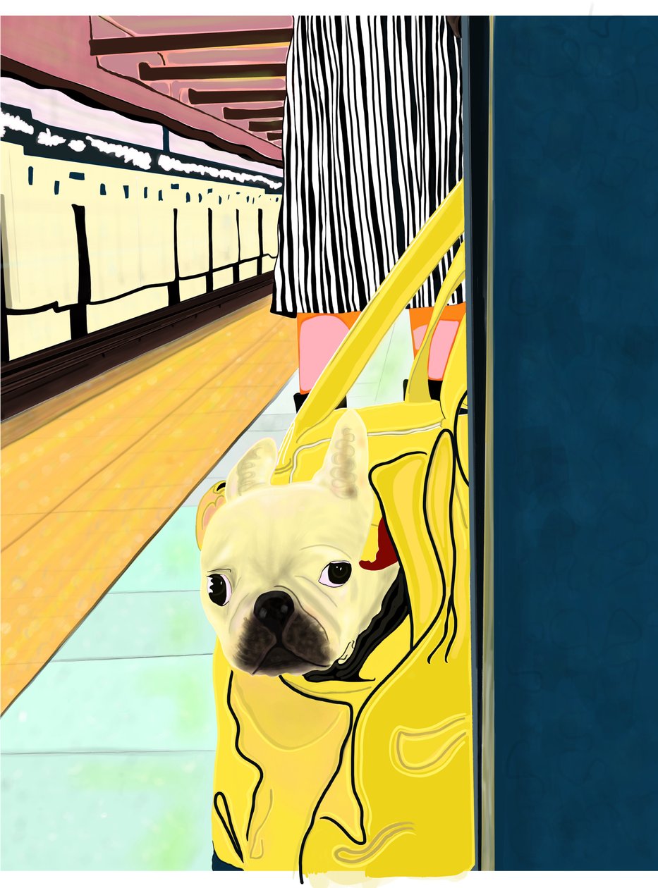 Podróżujący metrem z psem w torbie, Brooklyn (grafika cyfrowa) autorstwa Evan Sklar