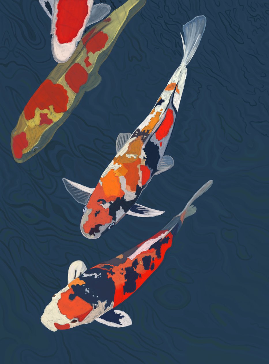 Trzy Koi (grafika cyfrowa) autorstwa Evan Sklar