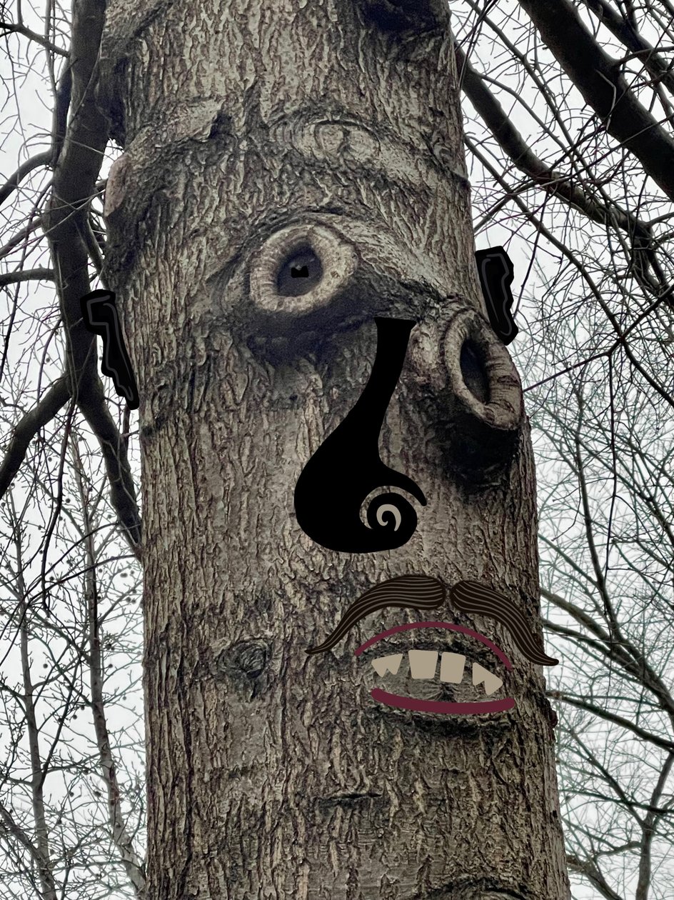Twarz drzewa, ok. 2020-24 (grafika cyfrowa) autorstwa Evan Sklar
