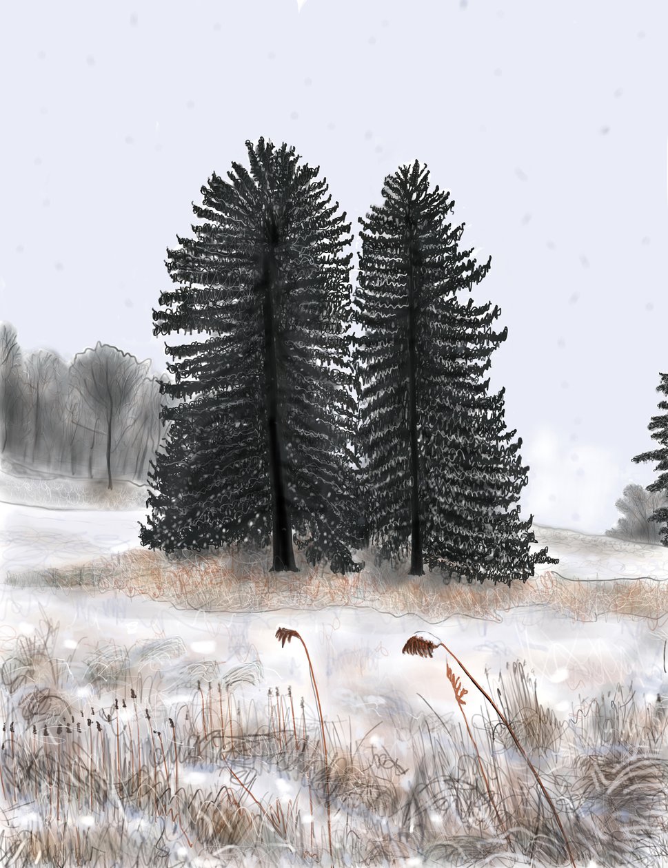 Wedded Pines autorstwa Evan Sklar