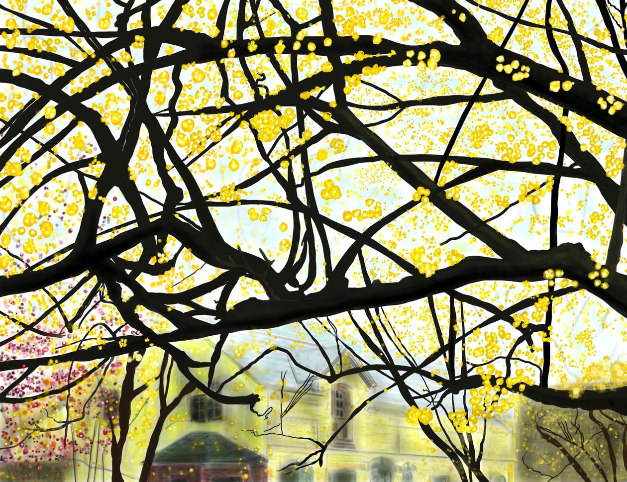Żółto kwitnące drzewo, Brooklyn (grafika cyfrowa) autorstwa Evan Sklar