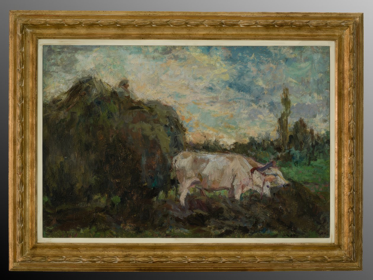 woły autorstwa Evaristo Cappelli