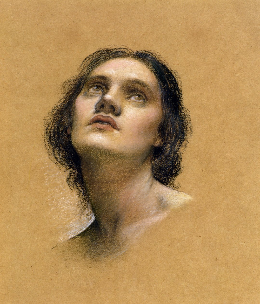 Studium głowy (pastel na papierze) autorstwa Evelyn De Morgan