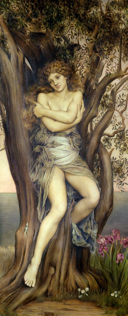 Driada, 1884-85 autorstwa Evelyn De Morgan