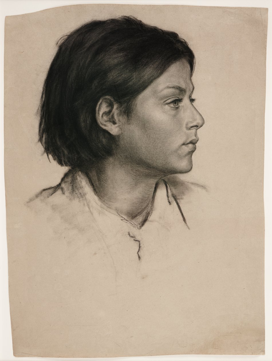 Głowa kobiety, ok. 1875 (węgiel na papierze) autorstwa Evelyn De Morgan