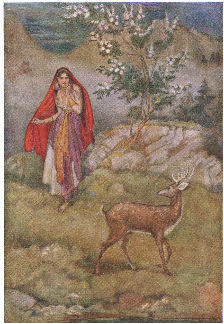 Zdumiona zobaczyła magicznego jelenia autorstwa Evelyn Paul