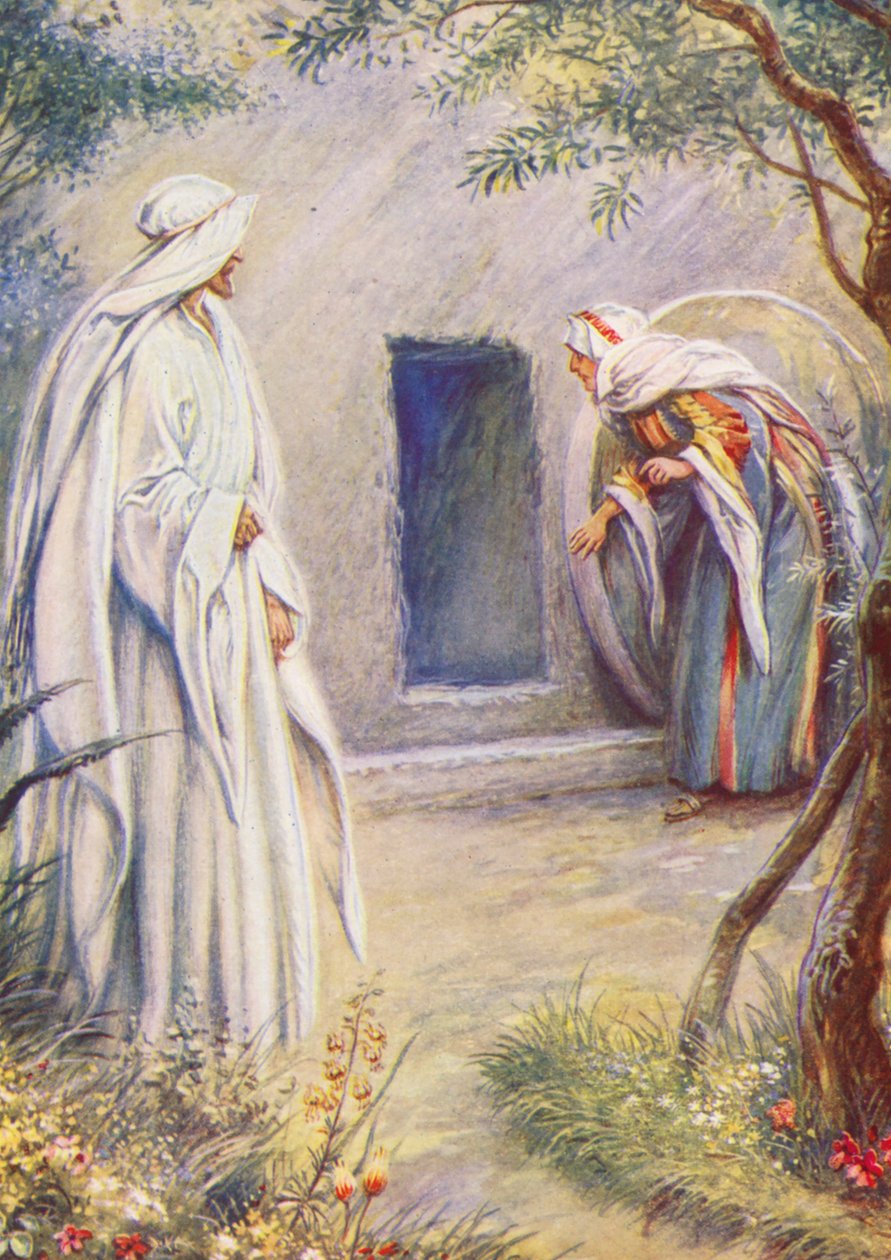  autorstwa Evelyn Stuart Hardy