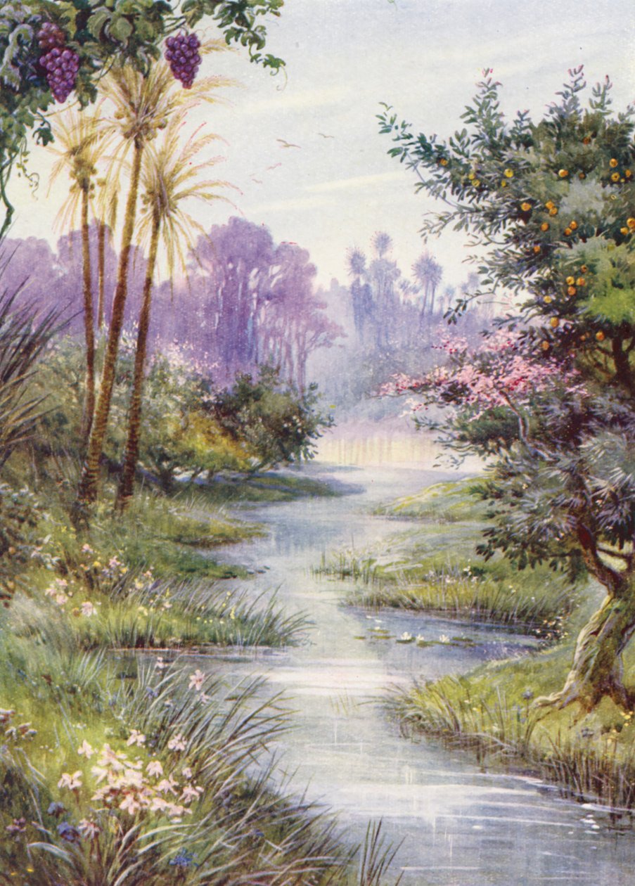  autorstwa Evelyn Stuart Hardy
