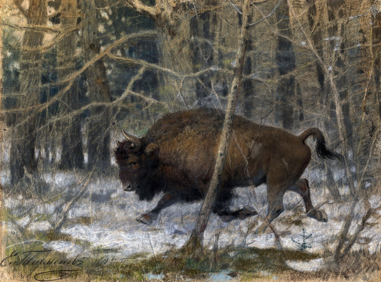 "Drewniany żubr" Pastelowy obraz Jewgienija Aleksandrowicza Tichmenev (Tichmenev) (1869-1934) 1910 Kolekcja prywatna autorstwa Evgeny Alexandrovich Tikhmenev