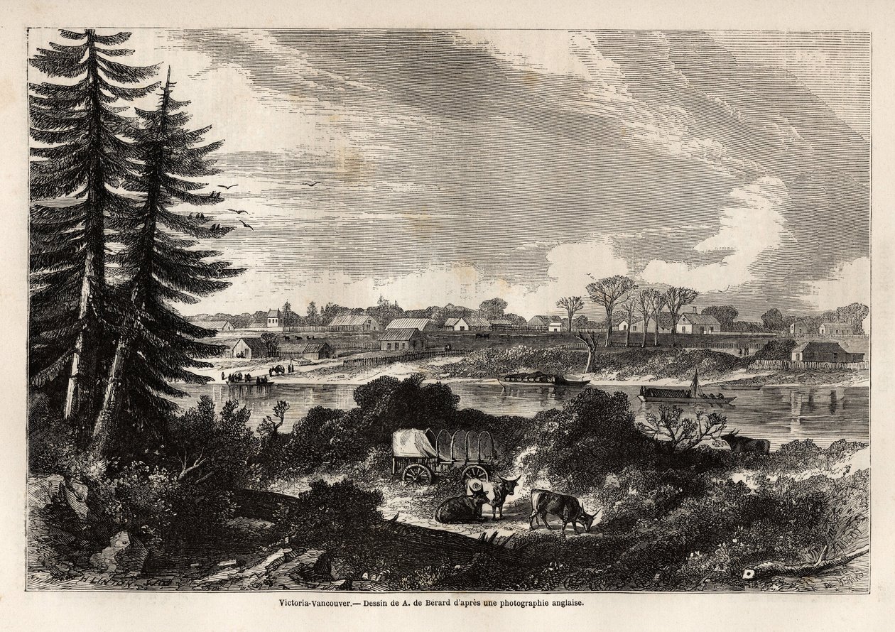 Widok Victorii-Vancouver, stolicy Kolumbii Brytyjskiej, rysunek Auguste de Berard (1824-81), ilustrujący eksplorację Gór Skalistych w latach 1857-59 przez kapitana Johna Pallisera. Grawerowanie w „”Le tour du monde, nouveau journal des voyages””Paryż autorstwa Evremond de (after) Berard
