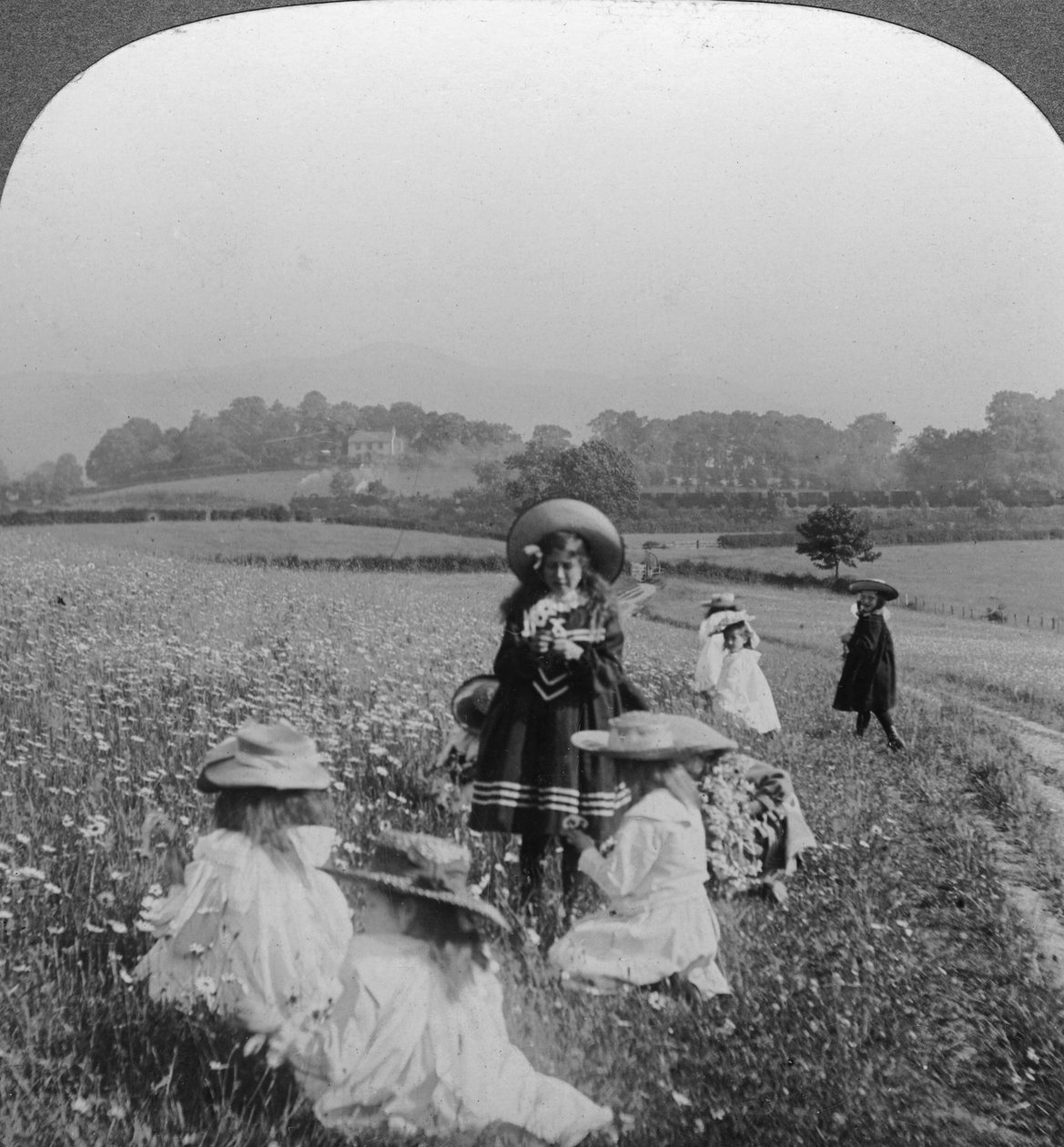 Dzieci na łące, Keswick, Cumbria. autorstwa Excelsior Stereoscopic Tours