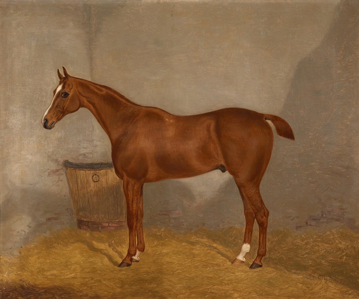 Portret konia (Fireland lub Cocktail, jeden z dwóch obrazów oferowanych w jednej partii o tych nazwach) autorstwa F. Clifton