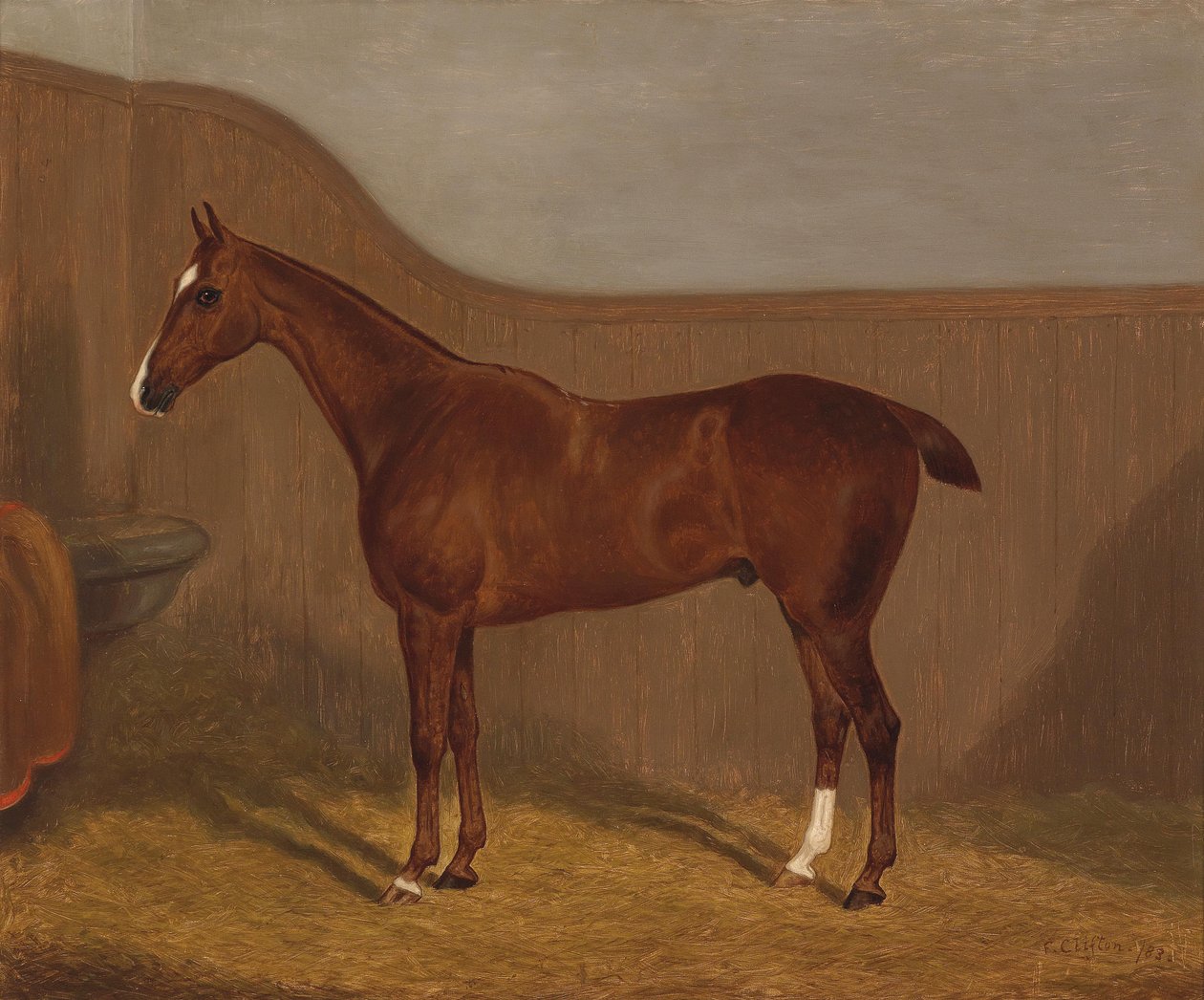 Portret konia (Lady Oswestry lub Dandy, jeden z dwóch obrazów oferowanych w jednej partii o tych nazwach) autorstwa F. Clifton