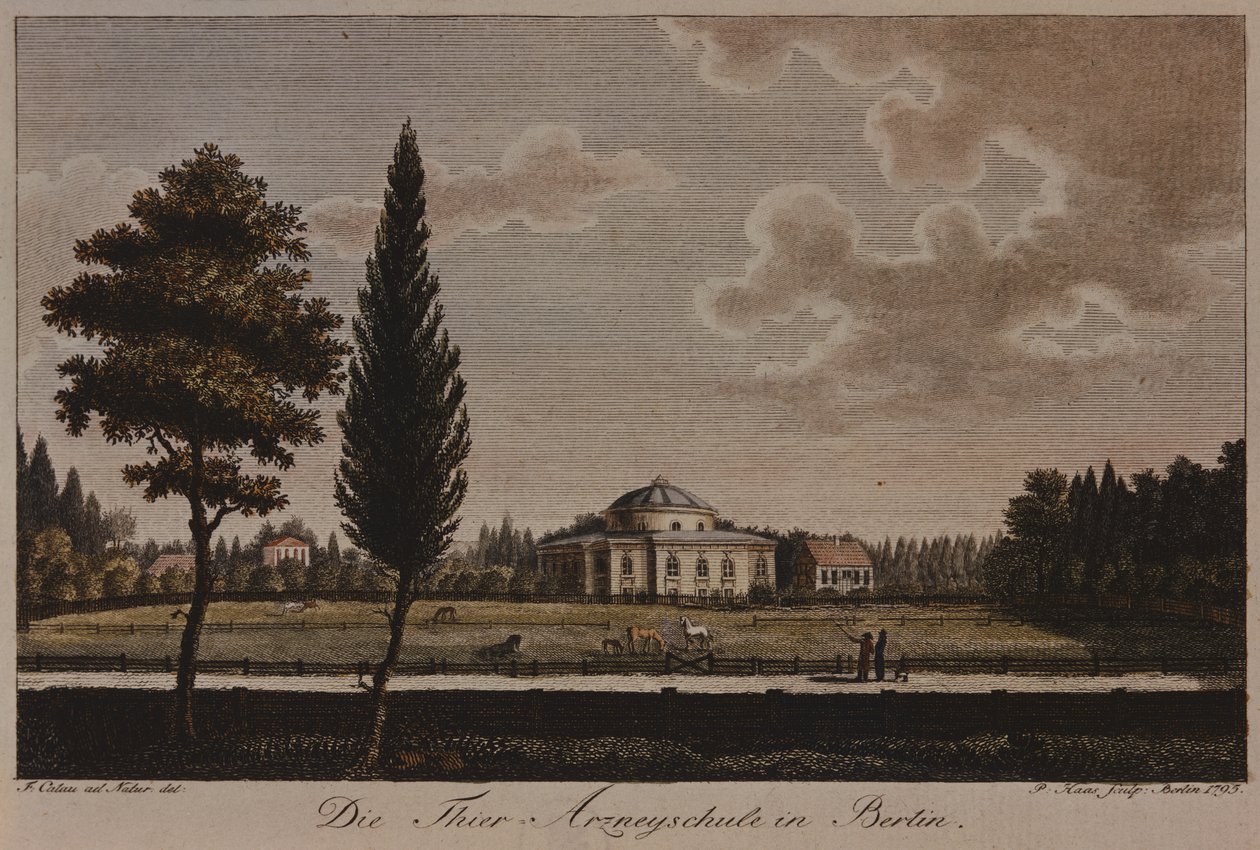 Szkoła Weterynaryjna, Berlin, 1795 (akwaforta) autorstwa F.A. Calau